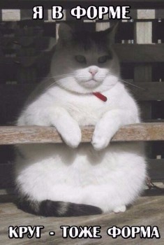 Любимая кошатинка  - Eo6YaXAyyHs.jpg