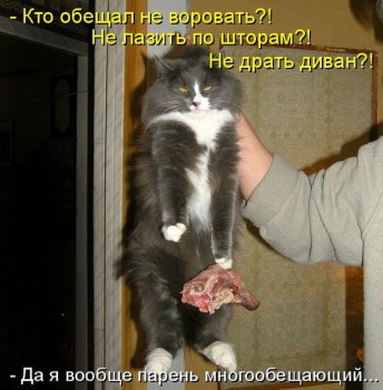 Любимая кошатинка  - oPumvb_4EKw.jpg