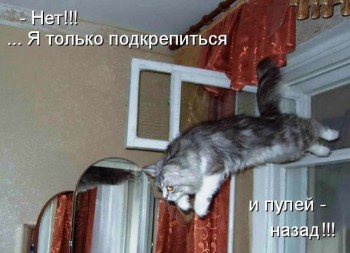 Любимая кошатинка  - uwkFKMyRxJ4.jpg