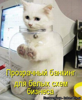 Любимая кошатинка  - kotomatritsa_vB.jpg