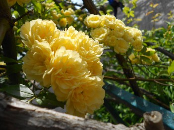 А что у нас с погодой? - 5 - DSCN7411.JPG