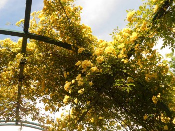 А что у нас с погодой? - 5 - DSCN7412.JPG