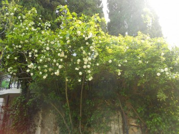 А что у нас с погодой? - 5 - DSCN7418.JPG