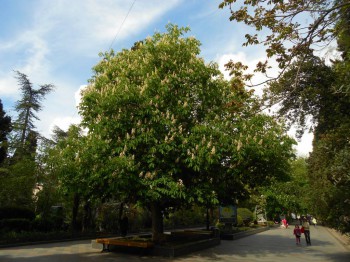 А что у нас с погодой? - 5 - DSCN7420.JPG