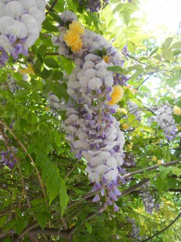 А что у нас с погодой? - 5 - DSCN7431.JPG