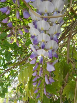 А что у нас с погодой? - 5 - DSCN7444.JPG