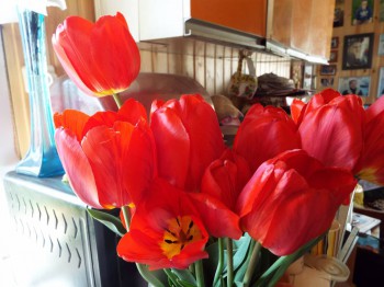 А что у нас с погодой? - 5 - DSCF4159.JPG