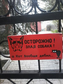 Любимая кошатинка  - м.jpg