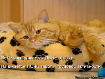 Любимая кошатинка  - _jxNl5fVfYI.jpg