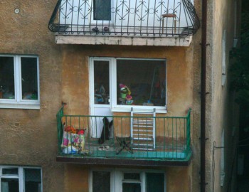 Любимая кошатинка  - P1120549.JPG