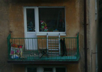 Любимая кошатинка  - P1120552.JPG