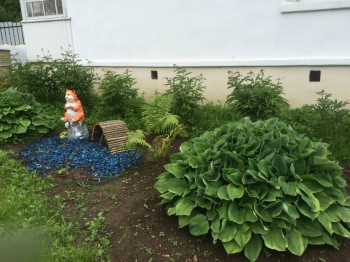 Наша дача - IMG_2135.JPG