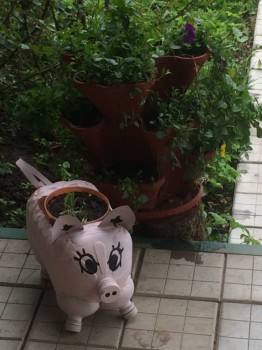 Наша дача - IMG_2136.JPG