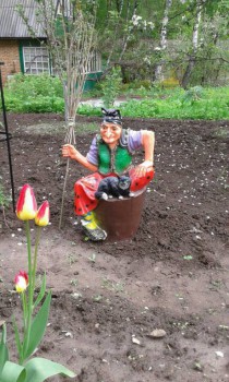 Наша дача - IMG_2207.JPG