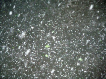 А что у нас с погодой? - 5 - P1150074.jpg