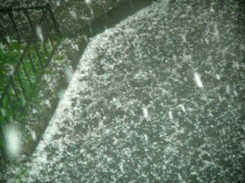 А что у нас с погодой? - 5 - P1150076.jpg