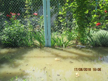 это соседний двор