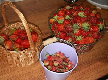 Наша дача - SANY0632.JPG