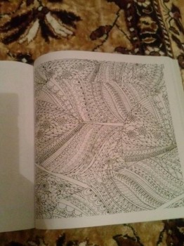 Раскраски... для взрослых - CAM00002.jpg