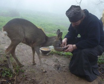 Капельки добра - кап.jpg