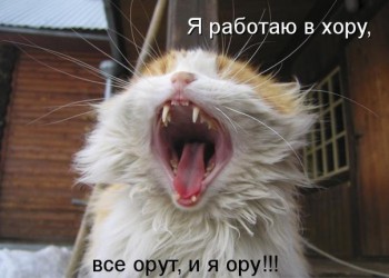 ВесЁлыЕ кАртинКи про нОтки, МУзыКу и т.п. - dFcvAJhJtxA.jpg