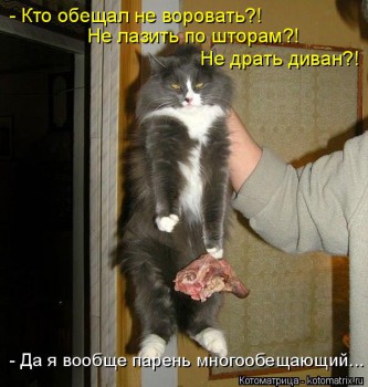 Любимая кошатинка  - парень.jpg