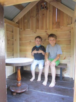 Мой маленький дворик. - IMG_5193.JPG