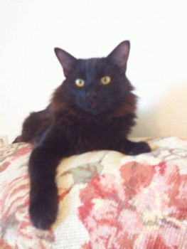 Просто Царь! )))