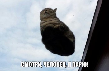 Любимая кошатинка  - znpO0sXTFYE.jpg