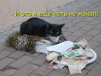 Любимая кошатинка  - BRTv5xu-rSA.jpg