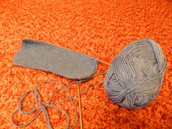 Быстрее моли - 6 - DSCN6706.JPG