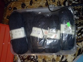 Быстрее моли - 6 - CAM00040.jpg