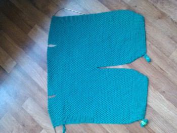 Быстрее моли - 6 - WP_20160808_016.jpg