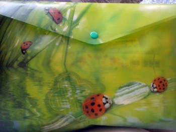 Друзья по переписке - 12.jpg