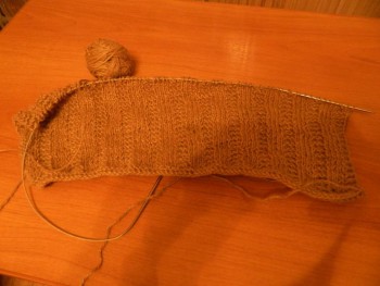 Быстрее моли - 6 - DSCN6718.JPG