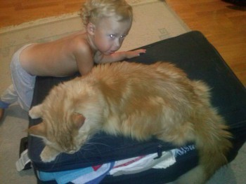 Любимая кошатинка  - CAM08813.jpg