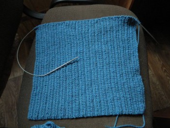 Быстрее моли - 6 - DSCN6720.JPG