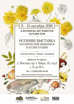 Раскраски... для взрослых - image.jpg