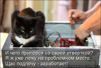 Любимая кошатинка  - kotomatritsa_zB.jpg