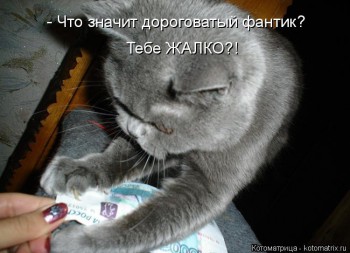 Любимая кошатинка  - kotomatritsa_3F.jpg