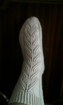 Быстрее моли - 6 - IMG_20160903_144947.jpg