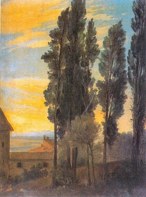 Исполнитель желаний - топольки.jpg