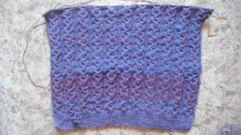 Быстрее моли - 6 - DSCN2766[1].JPG