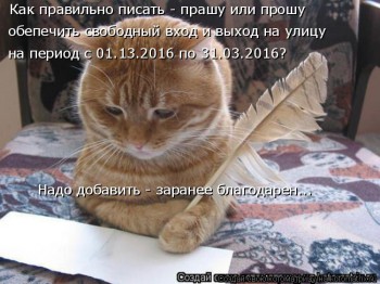 Любимая кошатинка  - вы.jpg