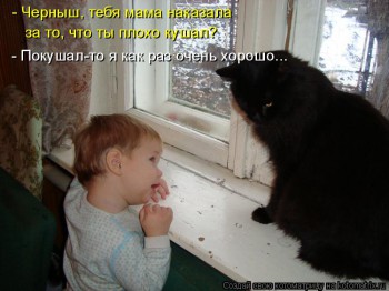 Любимая кошатинка  - kotomatritsa_j.jpg