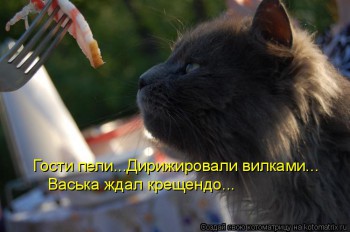 Любимая кошатинка  - kotomatritsa_j1 (1).jpg