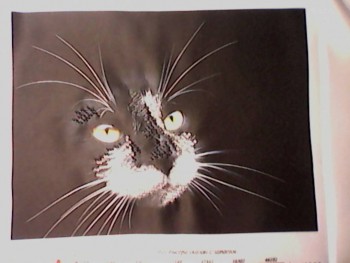 Вышивка бисером - IMG_20150731_200943.jpg