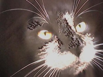 Вышивка бисером - IMG_20150731_201154.jpg