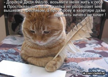 Любимая кошатинка  - GoVqUsIcZng.jpg