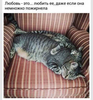 Любимая кошатинка  - PpI7pFmWOug.jpg